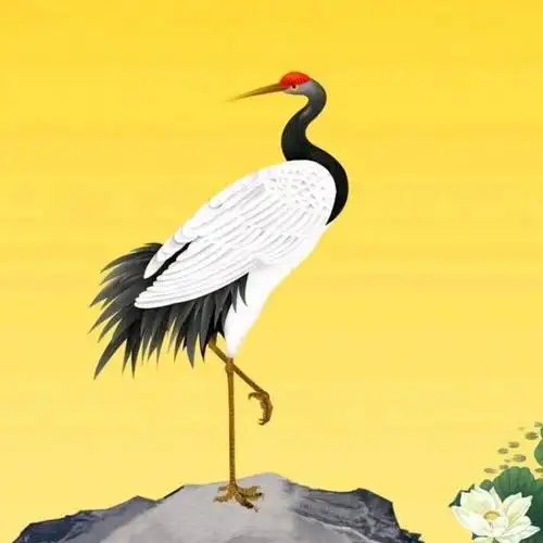 白鹤说电影头像