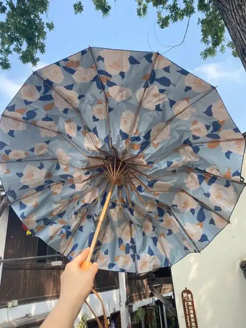 宝藏太阳伞高级小众的神仙颜值