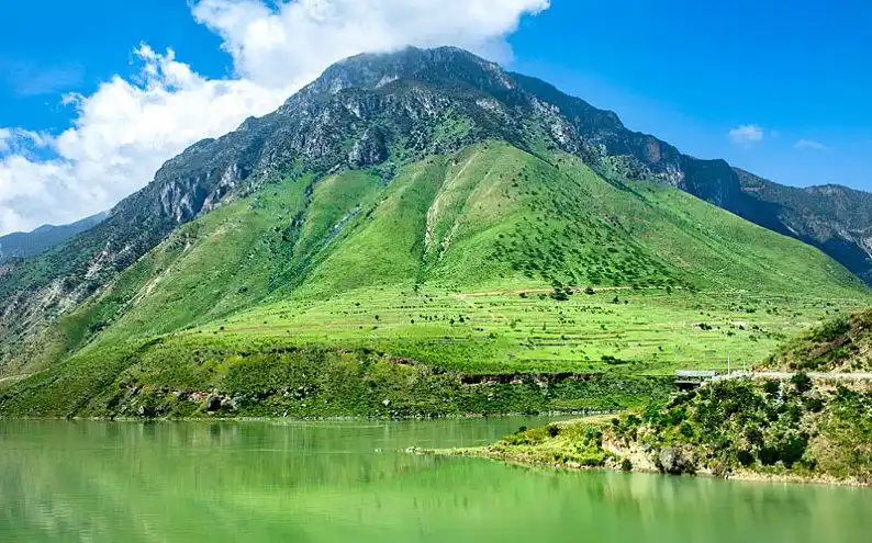 丽江高山草甸图片_丽江高山草甸高清图片_全景视觉