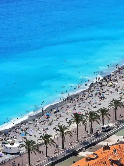 壁纸 桌面 690_920 竖版 竖屏 手机