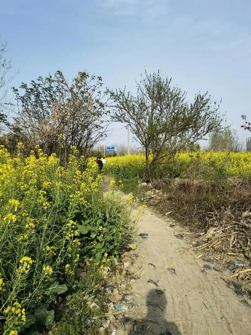 农村风光自然美 照片拍的挺好,风景也不错,调调也挺喜欢,# - 抖音