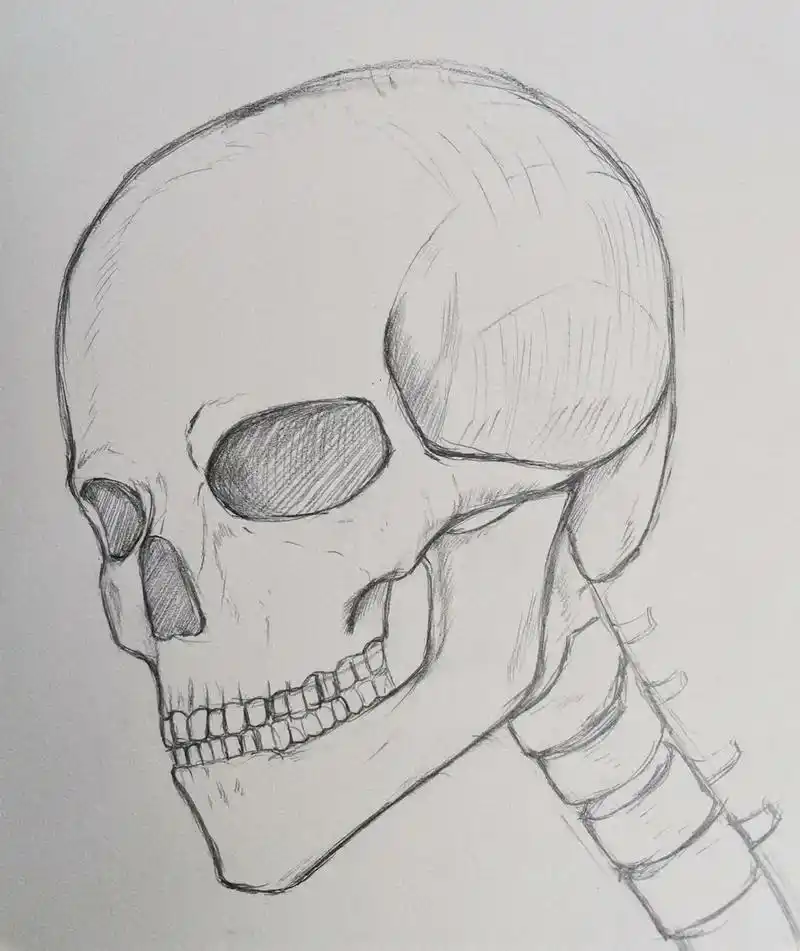 画人先画骨 我是沈翊你记住.#卡卡西 #火影忍者 #画画 原 - 抖音