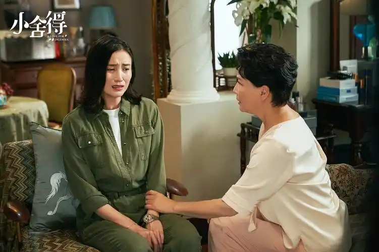 就剧情来说,《小舍得》完全戳中了当下观众的痛点