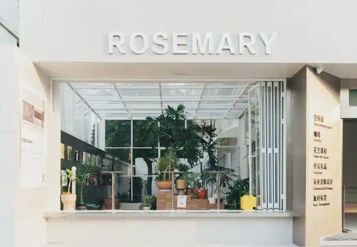 沉浸式打卡自然咖啡店|rosemary