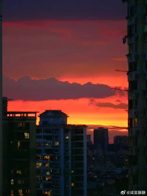 上海晚霞美炸了##有一种快乐叫上海之夏##属于上海人