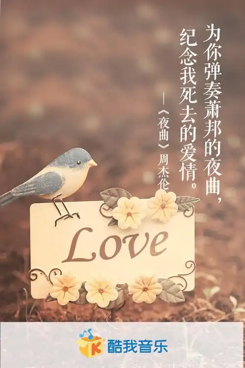 夜曲周杰伦-十一月的萧邦