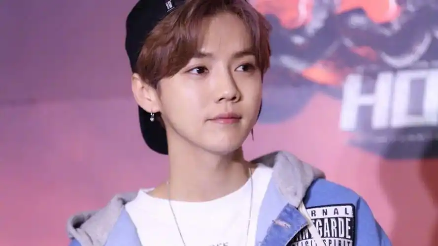 在出道两年以后,鹿晗做了一个惊人的决定:与sm公司解约,离开exo,回国