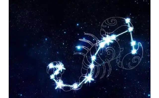 巨蟹座的人,给我们的感觉是一个比较顾家的人.