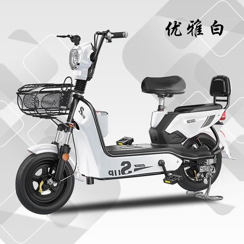 蓝天马新新国标电动车男女代步车电动自行车新款电瓶车小型 整车配12