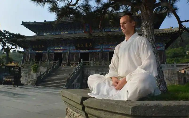 让武当派与众不同的是它将道家的文化融入训练之中.