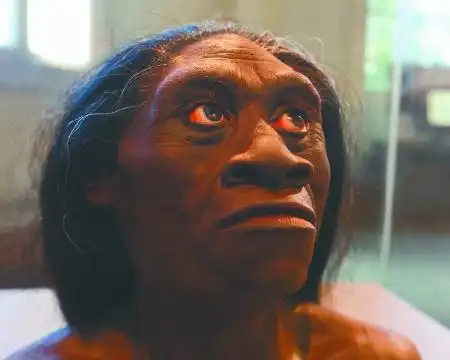 灭绝,现代人近亲的最终归宿?