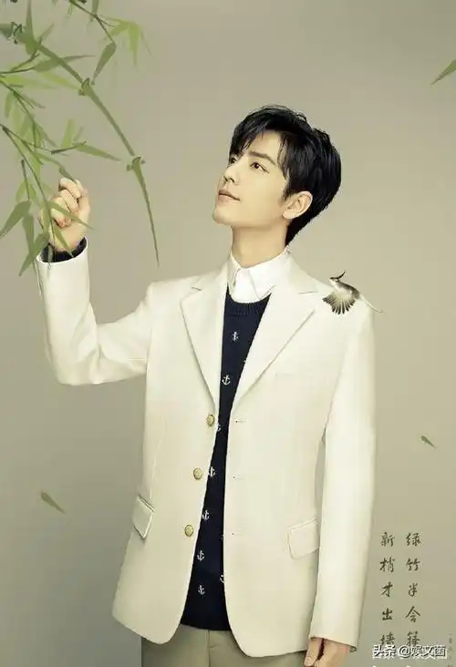 静候白衣少年肖战