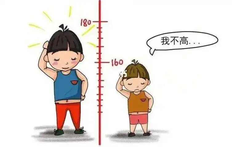 身高是高是矮是由什么决定的