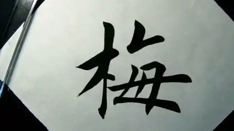 田英章老师楷书例字书写"梅"
