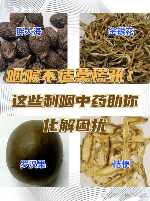 这些利咽中药助你化解困扰