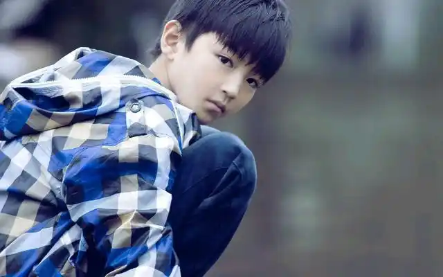 歌手王俊凯个人资料简介