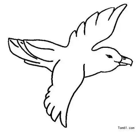 简笔画 手绘 线稿 650616小鸟飞简笔画2鸟飞翔的简笔画卡通鸟图片简笔