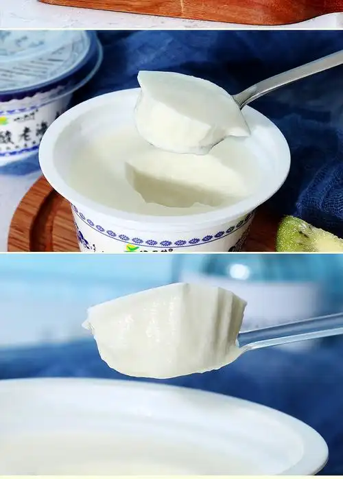 24杯88元】小西牛 青海老酸奶原味发酵乳低温酸奶150g*12杯