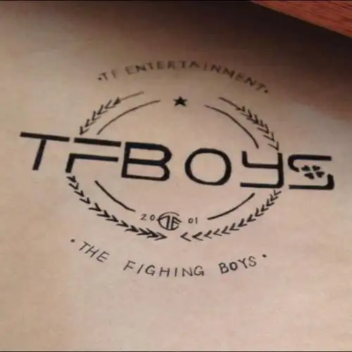 tfboys一周年