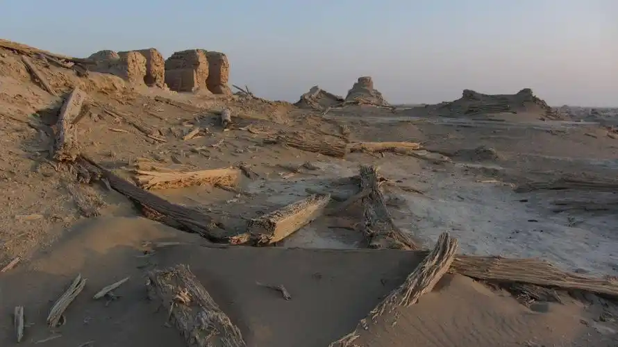 科学家彭加木在罗布泊是怎么失踪的?最有可能的结局是什么?