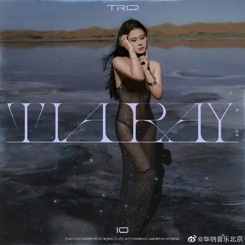 袁娅维十周年新专trip