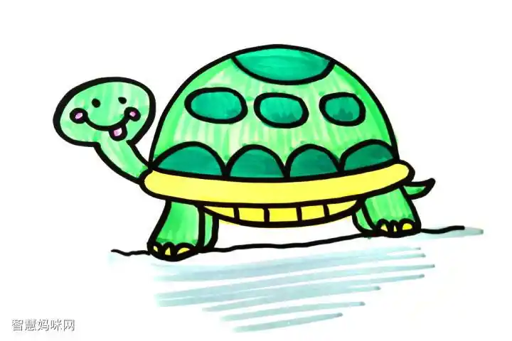 一组可爱的小乌龟简笔画图片-图4