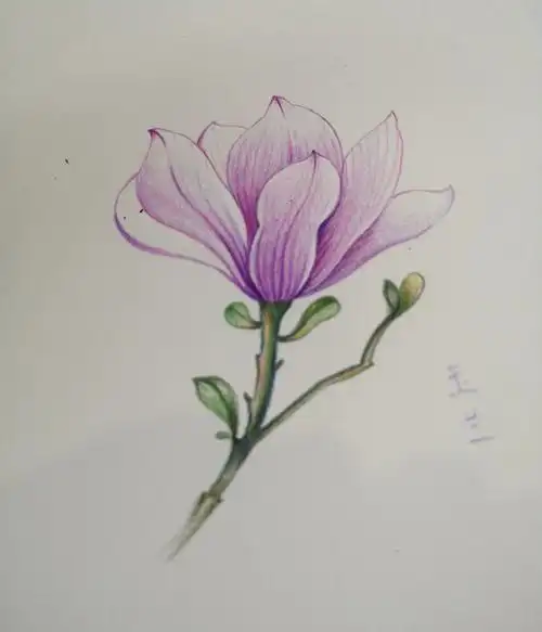 画画  #我的日常  #余生一起画画  #彩铅  #临摹  #小练笔  #画画的