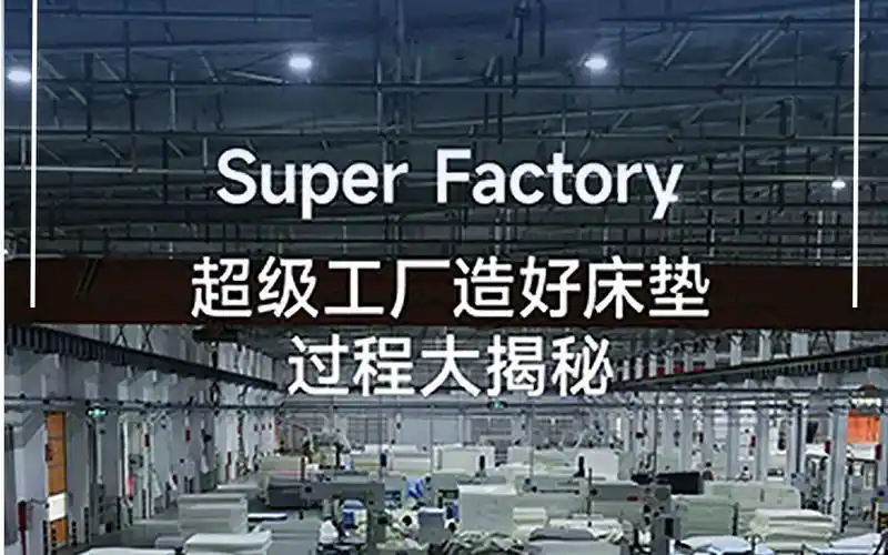 梦百合带您"厂开"探索,揭秘超级工厂的制造过程