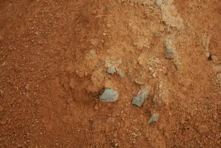 土壤表面截面剖面