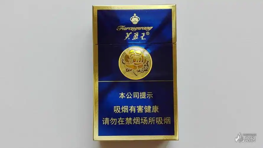 16劝阻版芙蓉王硬蓝新品烟标