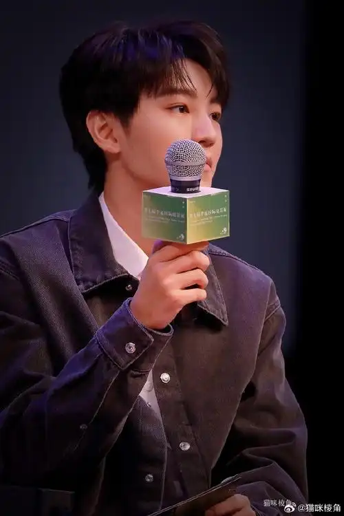 王俊凯任第七届平遥影展特约策展人