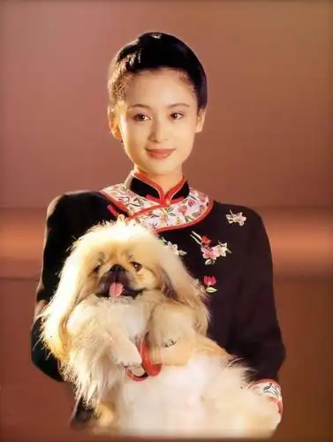 陈红- 堆糖,美图壁纸兴趣社区