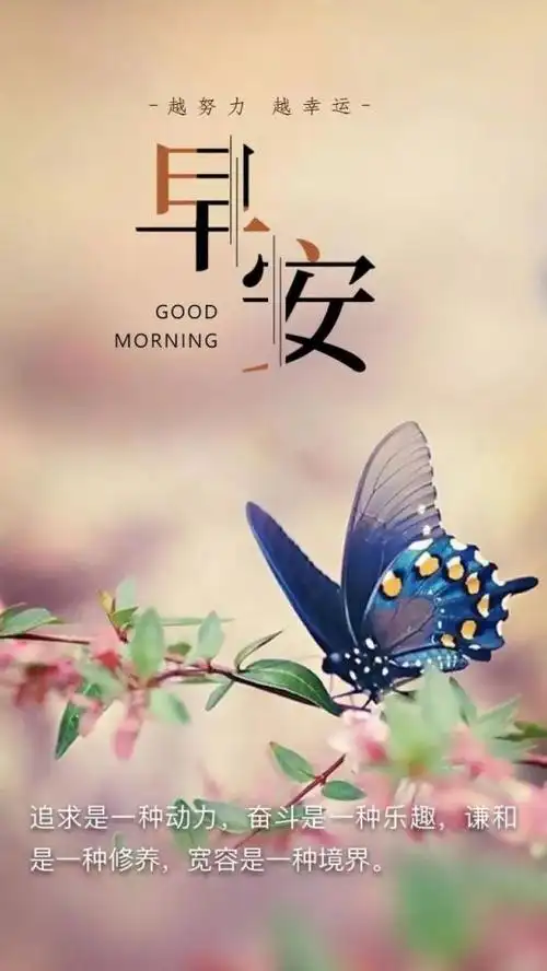 早安心语励志正能量语录 微信早上好励志唯美优美图片句子_腾讯新闻
