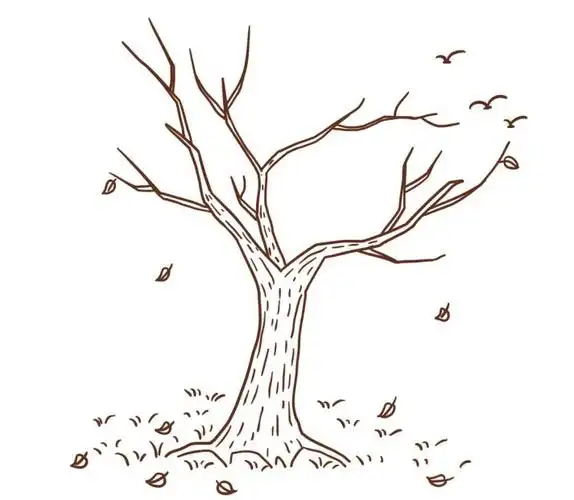 一棵枯树简笔画步骤 树桩