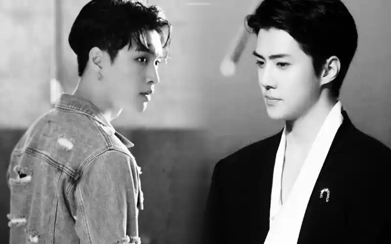 勋兴在线直播新婚小夫夫蜜月如何度过