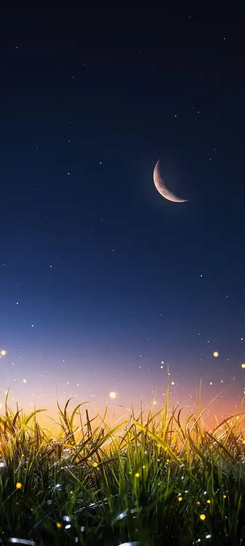 壁纸新的锁屏壁纸