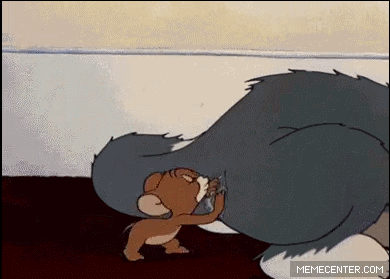 猫和老鼠tomandjerrygif动图_动态图_表情包下载_soogif