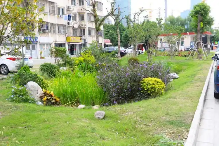 共青小区雨水花园