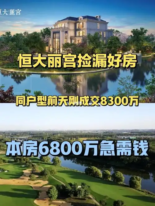 恒大丽宫捡漏房