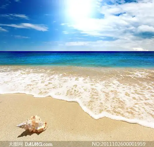 阳光照射下的沙滩摄影图片