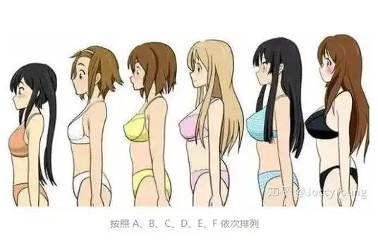 女性胸围尺寸科普真实abcdefg罩杯到底多大图