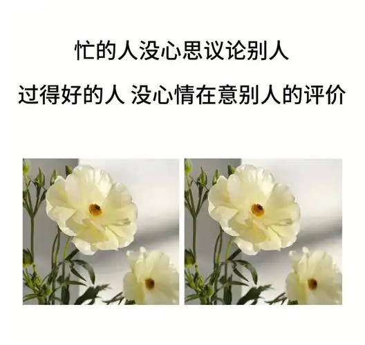 懂得