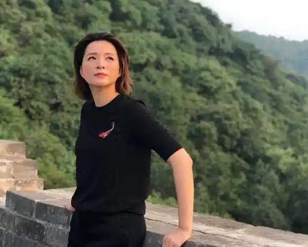 董卿作品被多平台全集下架回农村吃席显落魄儿子已入美国国籍