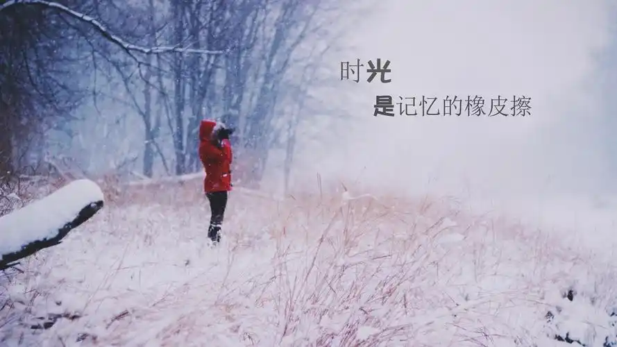 时光是记忆的橡皮擦文字控壁纸