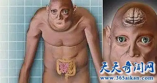 未来人类长什么样图片,一千年后人类模样曝光