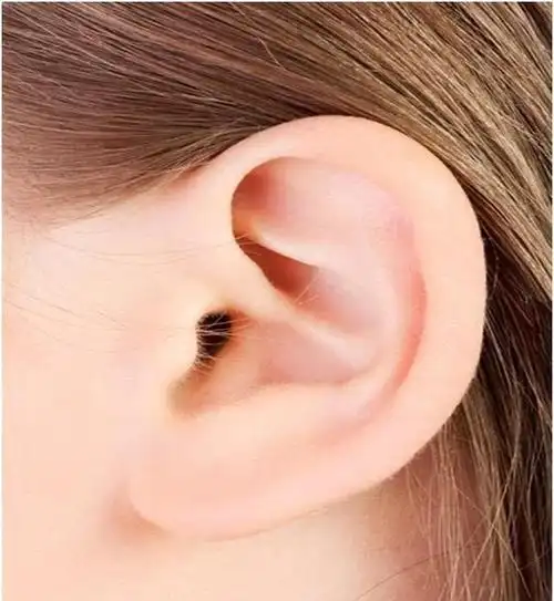 心理测试你是下面哪种形状的耳朵测你一生的命运