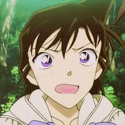 毛利兰【名侦探柯南】