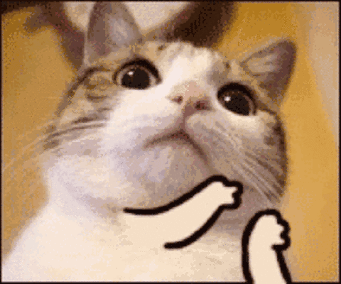 看lucky的这个眼神,啊~羊不行了,需要小哥哥的人工呼吸.