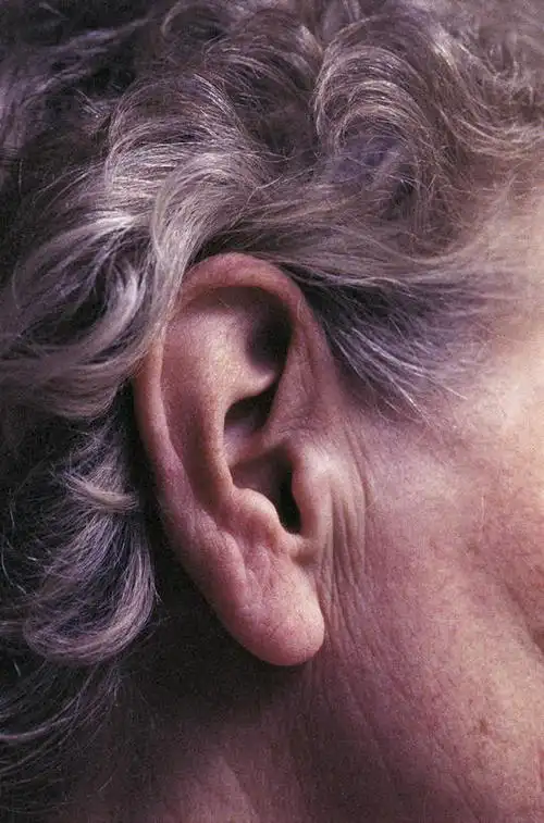 西方人,耳朵,皱纹,头发,一个人,竖图,室内,特写,白天,侧面,欧洲,非洲