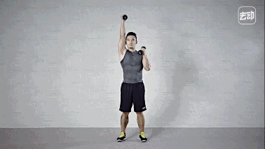 鲨鱼线的训练教程一般很少总结形如鲨鱼巨齿,十分酷炫强大的前锯肌